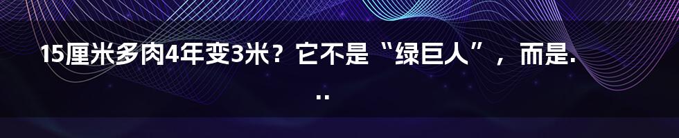 15厘米多肉4年变3米?它不是“绿巨人”,而是...