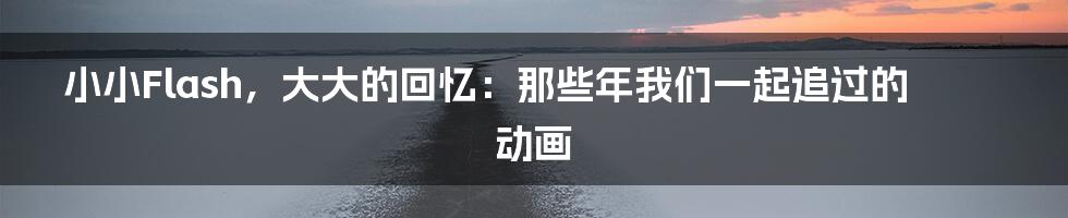 小小Flash,大大的回忆:那些年我们一起追过的动画