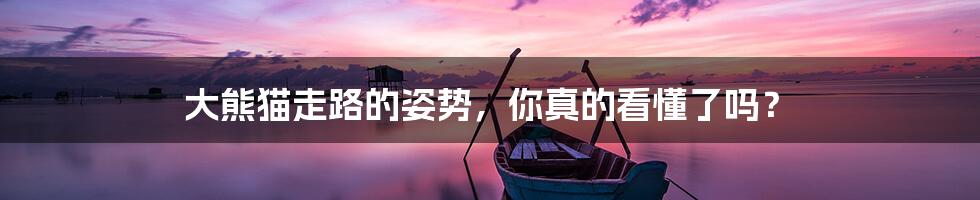 大熊猫走路的姿势,你真的看懂了吗?
