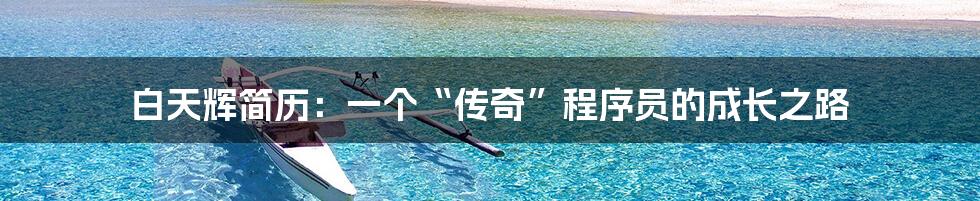 白天辉简历:一个“传奇”程序员的成长之路
