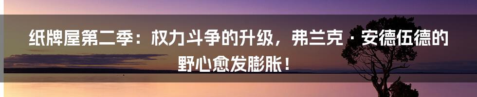 纸牌屋第二季:权力斗争的升级,弗兰克·安德伍德的野心愈发膨胀!