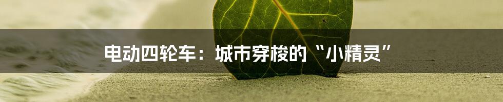 电动四轮车:城市穿梭的“小精灵”