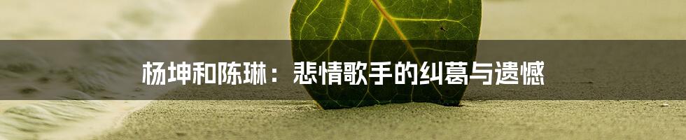 杨坤和陈琳:悲情歌手的纠葛与遗憾