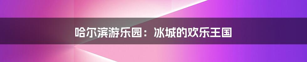 哈尔滨游乐园:冰城的欢乐王国