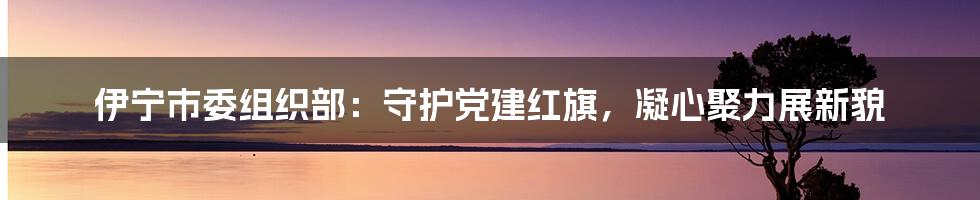 伊宁市委组织部:守护党建红旗,凝心聚力展新貌