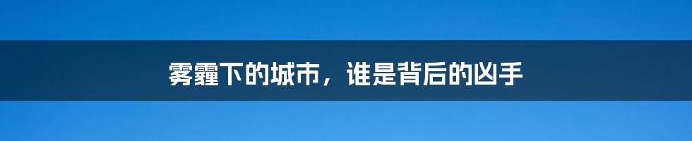 雾霾下的城市,谁是背后的凶手