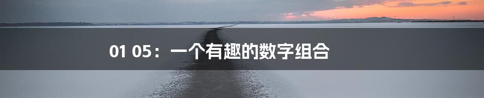 01 05:一个有趣的数字组合