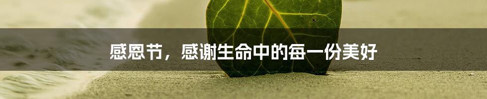 感恩节,感谢生命中的每一份美好