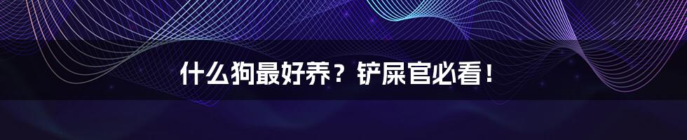 什么狗最好养?铲屎官必看!