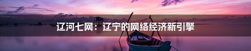 辽河七网:辽宁的网络经济新引擎