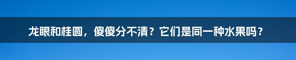 龙眼和桂圆,傻傻分不清?它们是同一种水果吗?