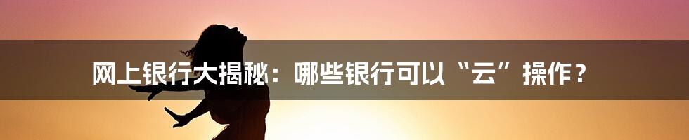 网上银行大揭秘:哪些银行可以“云”操作?