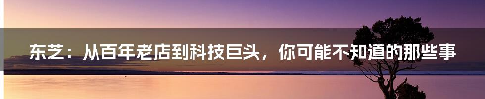 东芝:从百年老店到科技巨头,你可能不知道的那些事