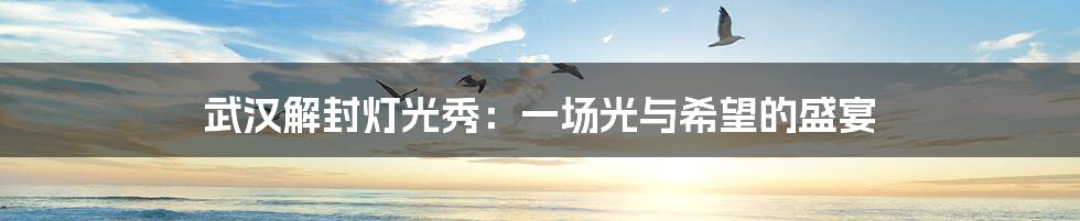 武汉解封灯光秀:一场光与希望的盛宴