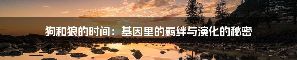 狗和狼的时间:基因里的羁绊与演化的秘密