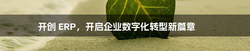 开创 ERP,开启企业数字化转型新篇章
