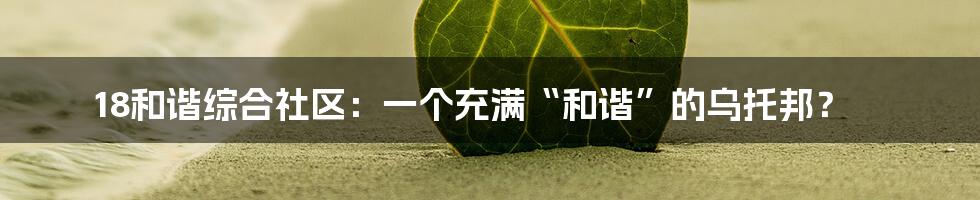 18和谐综合社区:一个充满“和谐”的乌托邦?