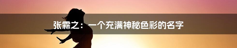 张霖之:一个充满神秘色彩的名字