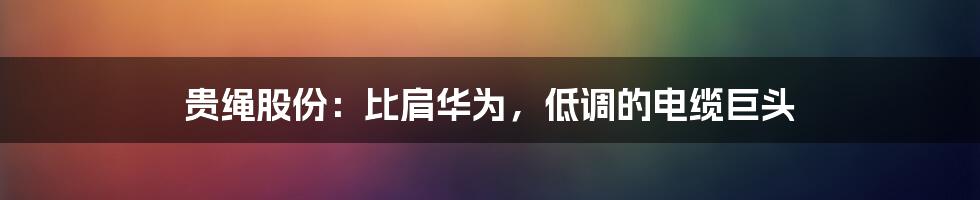 贵绳股份:比肩华为,低调的电缆巨头