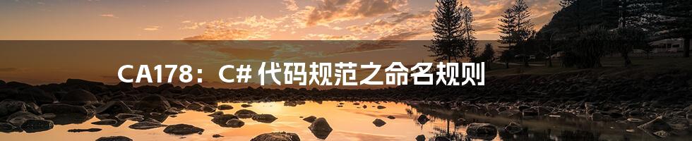 CA178:C# 代码规范之命名规则