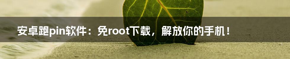 安卓跑pin软件:免root下载,解放你的手机!