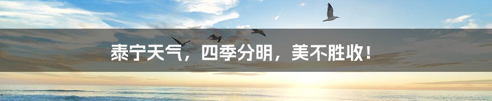 泰宁天气,四季分明,美不胜收!