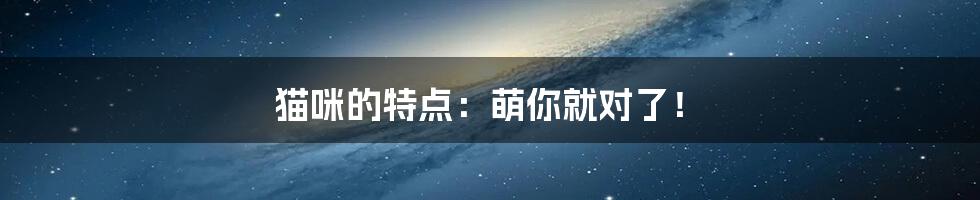 猫咪的特点:萌你就对了!