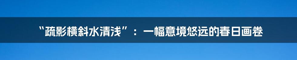 “疏影横斜水清浅”:一幅意境悠远的春日画卷