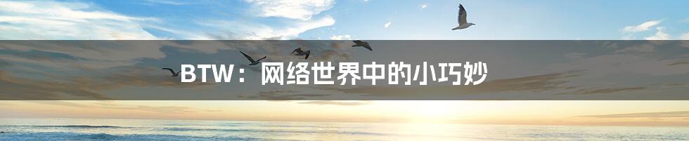 BTW:网络世界中的小巧妙