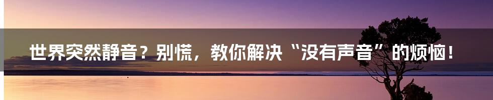 世界突然静音?别慌,教你解决“没有声音”的烦恼!