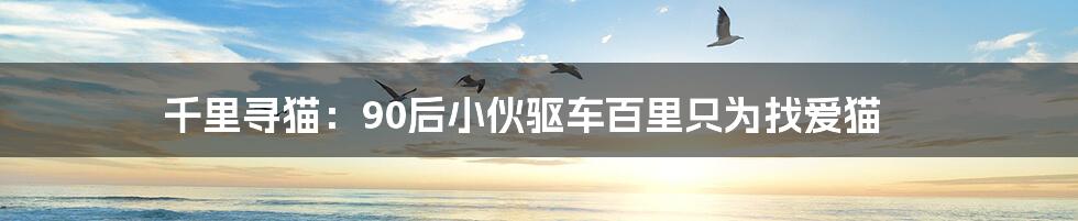 千里寻猫:90后小伙驱车百里只为找爱猫