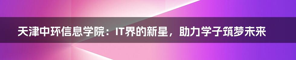 天津中环信息学院:IT界的新星,助力学子筑梦未来