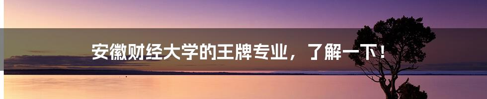 安徽财经大学的王牌专业,了解一下!