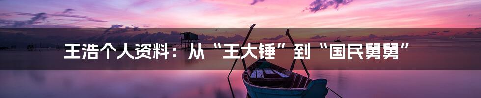 王浩个人资料:从“王大锤”到“国民舅舅”