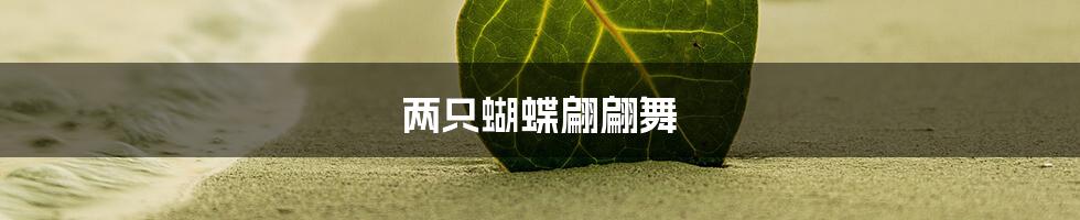 两只蝴蝶翩翩舞