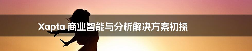 Xapta 商业智能与分析解决方案初探