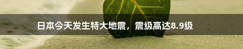 日本今天发生特大地震,震级高达8.9级