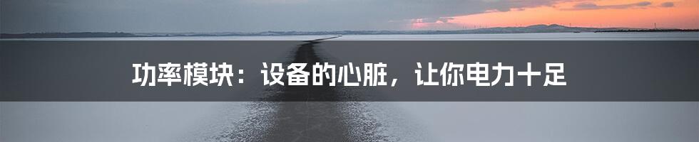 功率模块:设备的心脏,让你电力十足