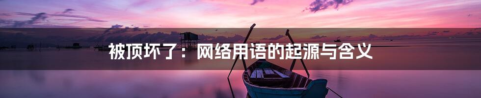 被顶坏了:网络用语的起源与含义