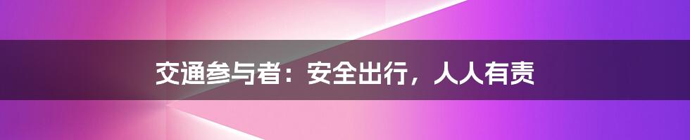交通参与者:安全出行,人人有责