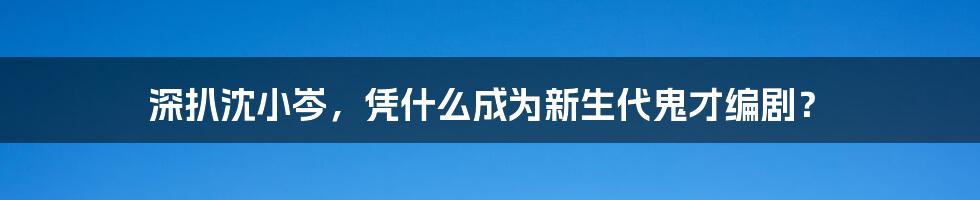 深扒沈小岑,凭什么成为新生代鬼才编剧?
