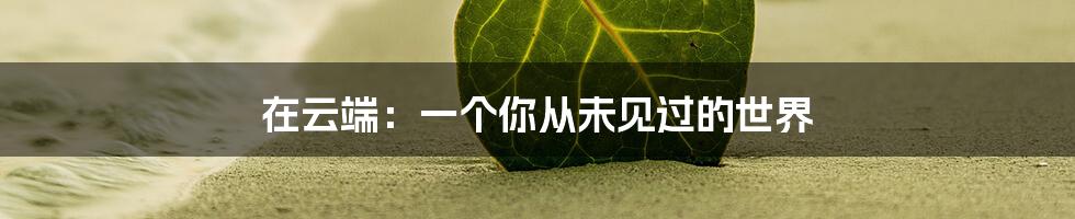 在云端:一个你从未见过的世界