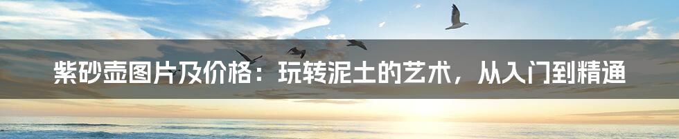 紫砂壶图片及价格:玩转泥土的艺术,从入门到精通