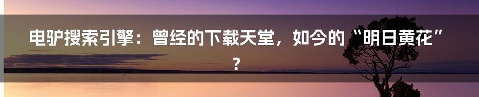 电驴搜索引擎:曾经的下载天堂,如今的“明日黄花”?