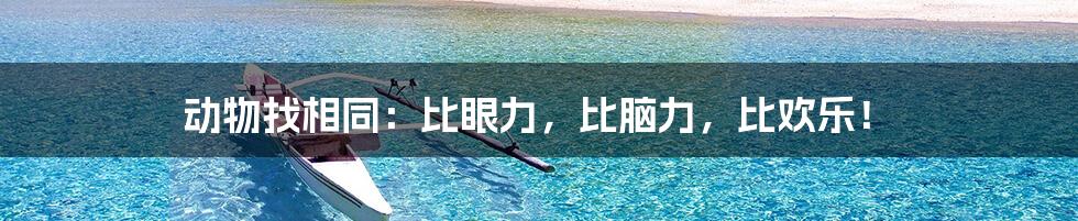 动物找相同:比眼力,比脑力,比欢乐!