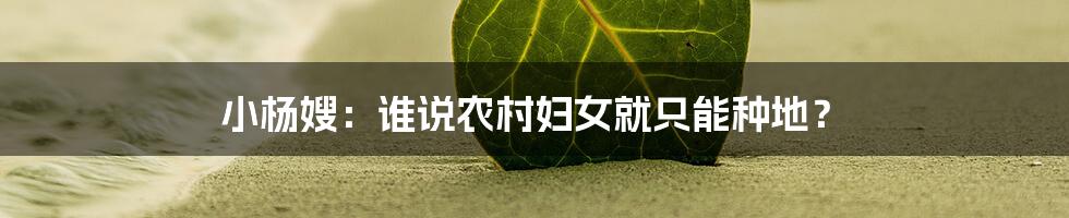 小杨嫂:谁说农村妇女就只能种地?