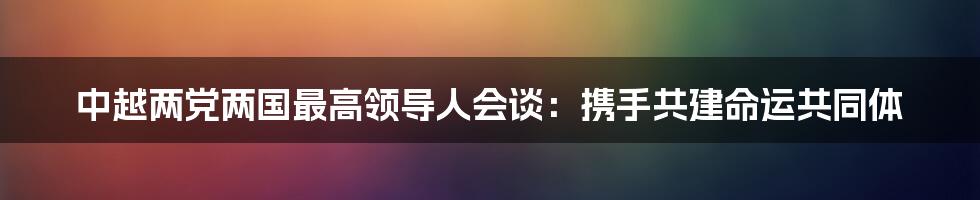中越两党两国最高领导人会谈:携手共建命运共同体
