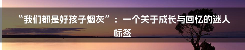 “我们都是好孩子烟灰”:一个关于成长与回忆的迷人标签