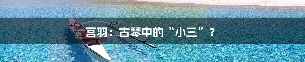 宫羽:古琴中的“小三”?