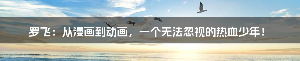 罗飞:从漫画到动画,一个无法忽视的热血少年!